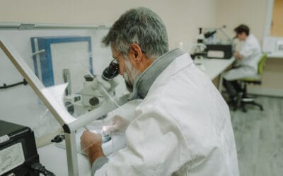 Councils Under Scrutiny: Ensuring Safe Asbestos Management in Public Buildings