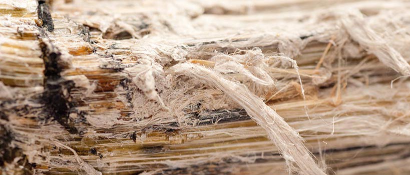 Closeup view of asbestos