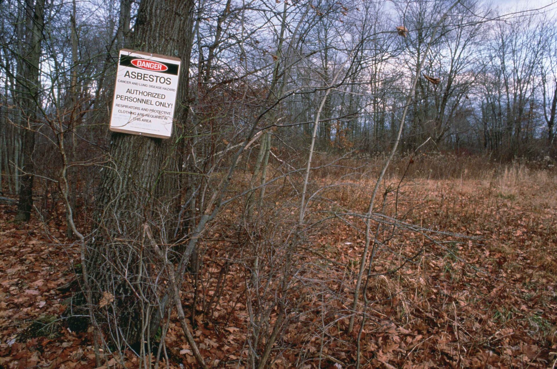 Identifying and Reporting Dumped Asbestos